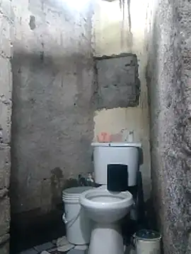 polla large active online show from April 12, 2026, 6:35 pm