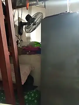 Snapshot of Wildcam21 chatting on February 19, 2026, 4:30 am Wildcam21 online show from February 19, 2026, 4:30 am