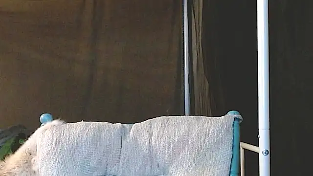 cguffey2284 online show from March 20, 2026, 10:03 pm