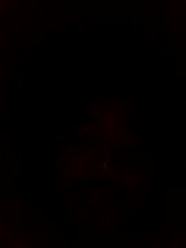 Frederico3302 online show from March 2, 2026, 7:15 am