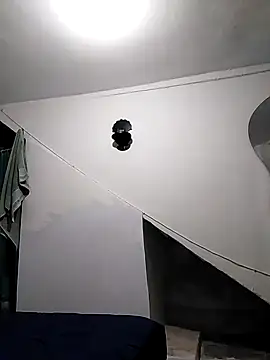 vargas diam online show from February 12, 2026, 3:01 am