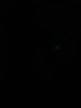 stallone italiano 62 online show from April 10, 2026, 4:39 am