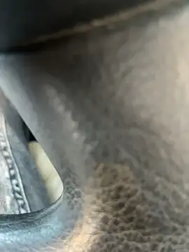 stallone italiano 62 online show from April 11, 2026, 5:39 pm