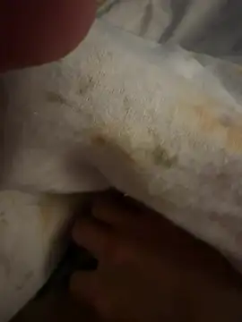 Snapshot of sbollando13 chatting on February 8, 2026, 7:56 am sbollando13 online show from February 8, 2026, 7:56 am