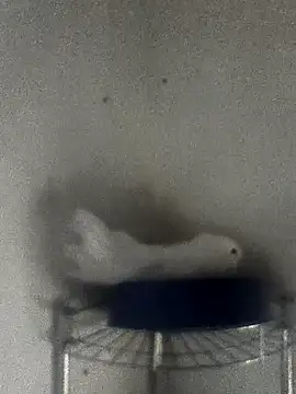 Snapshot of hydra0613 chatting on February 22, 2026, 10:41 pm hydra0613 online show from February 22, 2026, 10:41 pm