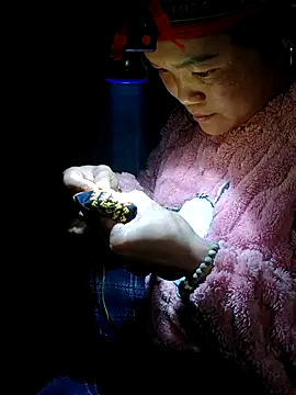 Snapshot of nelina_12345 chatting on February 19, 2026, 1:51 pm nelina 12345 online show from February 19, 2026, 1:51 pm