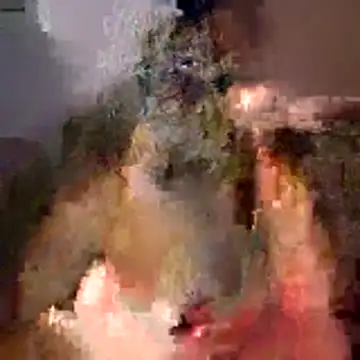 Snapshot of tubellaflor chatting on March 1, 2026, 10:23 pm tubellaflor online show from March 1, 2026, 10:23 pm