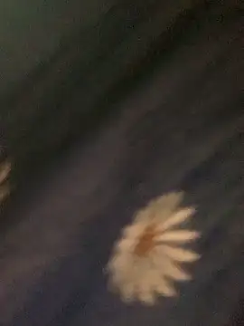 Snapshot of baeas-lan chatting on March 6, 2026, 10:06 pm baeas-lan online show from March 6, 2026, 10:06 pm