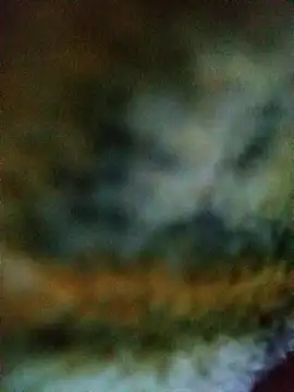 Avinh 09 online show from February 15, 2026, 4:31 am