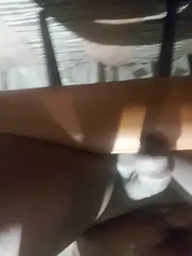 Cookiesucker2025 online show from March 15, 2026, 11:55 pm