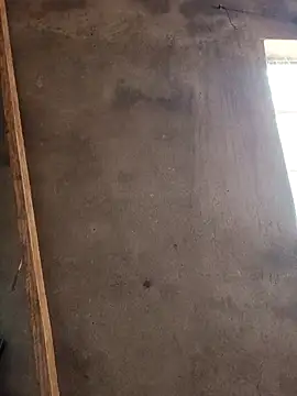 Snapshot of mollyboydick chatting on March 8, 2026, 10:30 am mollyboydick online show from March 8, 2026, 10:30 am