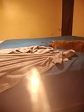 MissBella0969 online show from April 4, 2026, 6:00 am