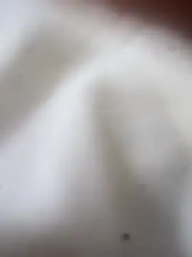 Jaybraconect online show from February 21, 2026, 5:08 am