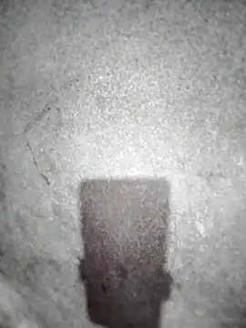 Snapshot of ngocbao11 chatting on March 10, 2026, 12:54 pm ngocbao11 online show from March 10, 2026, 12:54 pm