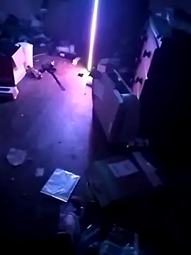 cexcitef online show from March 3, 2026, 12:28 am