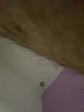 dimitri25987 online show from April 17, 2026, 7:33 am