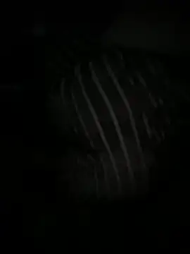 Angel Lov3 online show from April 11, 2026, 5:23 am