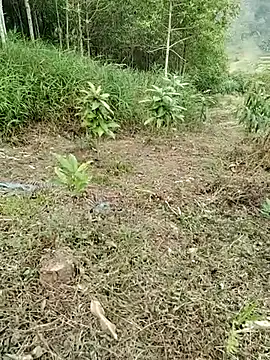 Snapshot of 01_ANNA_01 chatting on March 27, 2026, 9:32 am 01 ANNA 01 online show from March 27, 2026, 9:32 am