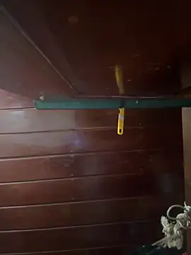 Slvbot202 online show from February 23, 2026, 10:07 pm