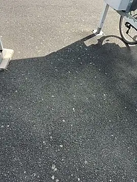 Snapshot of portostrip chatting on April 14, 2026, 1:39 pm portostrip online show from April 14, 2026, 1:39 pm