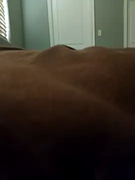 lilbbcxoxo online show from February 27, 2026, 4:18 pm