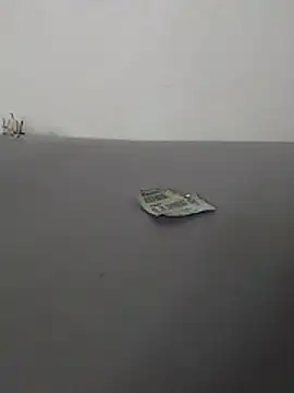 dandarapandorinha29 online show from March 22, 2026, 4:32 pm