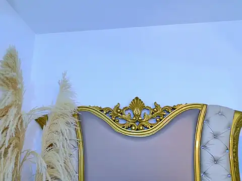 Snapshot of AllyRoux chatting on June 4, 2026, 12:00 pm AllyRoux online show from June 4, 2026, 12:00 pm