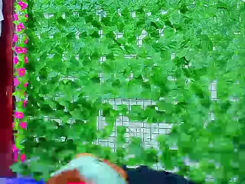 asshoney Abby online show from April 7, 2026, 7:31 am