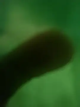 ffgffefgg online show from March 12, 2026, 12:39 am