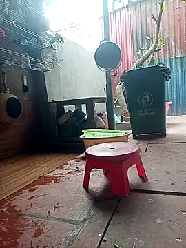 Leylin 1 online show from March 23, 2026, 6:06 am