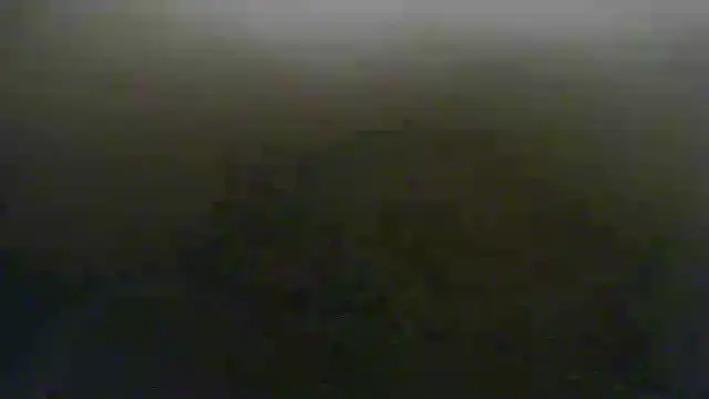 Snapshot of steven_mar43684 chatting on May 28, 2026, 9:28 am steven mar43684 online show from May 28, 2026, 9:28 am