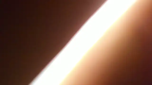 bichslutsgirls online show from April 2, 2026, 11:35 pm