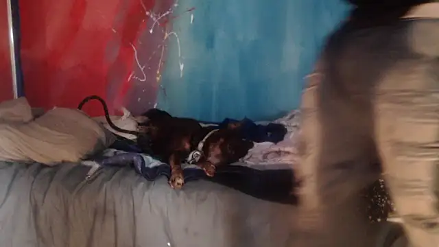 punkyslut69 online show from April 14, 2026, 6:25 pm