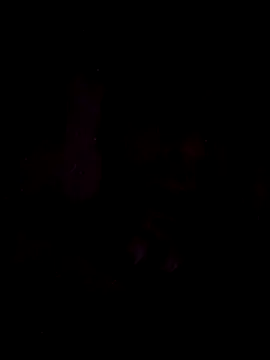 onliveme69 online show from April 8, 2026, 7:52 am