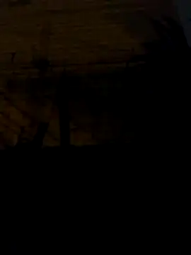 tuchokolatit0 online show from April 3, 2026, 8:34 am