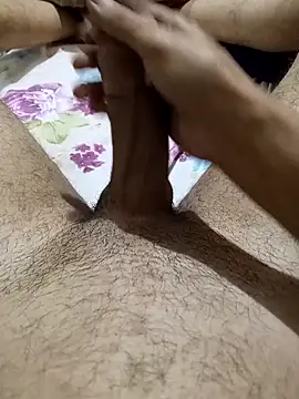 EgyptianHorse online show from April 6, 2026, 1:01 pm