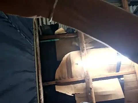 ThiagoM2002 online show from March 25, 2026, 3:56 am