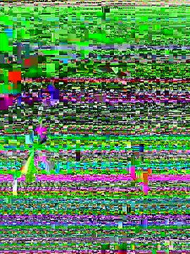Snapshot of adihaveabigdick chatting on April 22, 2026, 7:00 am adihaveabigdick online show from April 22, 2026, 7:00 am