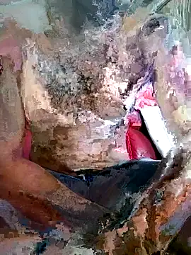 Snapshot of SteedyGee chatting on March 27, 2026, 9:32 am SteedyGee online show from March 27, 2026, 9:32 am