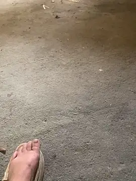 candy-beo online show from April 15, 2026, 5:25 am