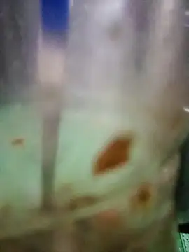 Snapshot of roc321 chatting on April 9, 2026, 11:37 am roc321 online show from April 9, 2026, 11:37 am