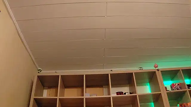 Snapshot of SilvyDiamond chatting on April 7, 2026, 7:36 pm SilvyDiamond online show from April 7, 2026, 7:36 pm