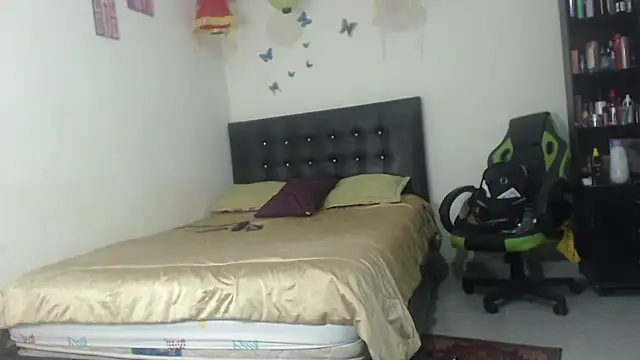 Snapshot of hotbrunettecasandra chatting on February 25, 2025, 9:42 am hotbrunettecasandra online show from February 25, 2025, 9:42 am