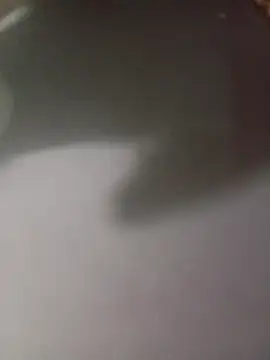 lucybeb online show from April 14, 2026, 6:41 am