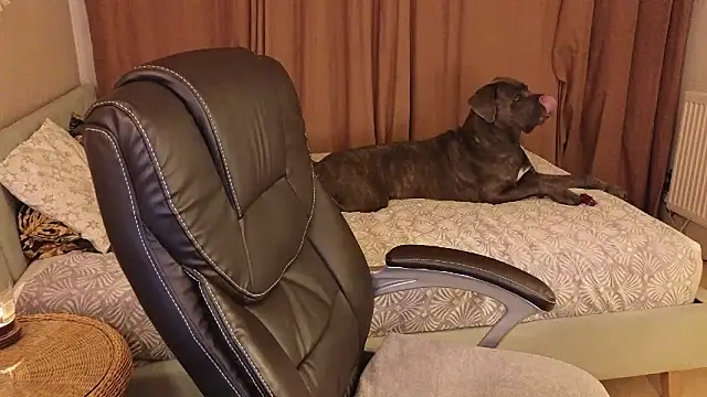 Snapshot of Sharon_Red chatting on December 2, 2024, 6:21 pm Sharon Red online show from December 2, 2024, 6:21 pm