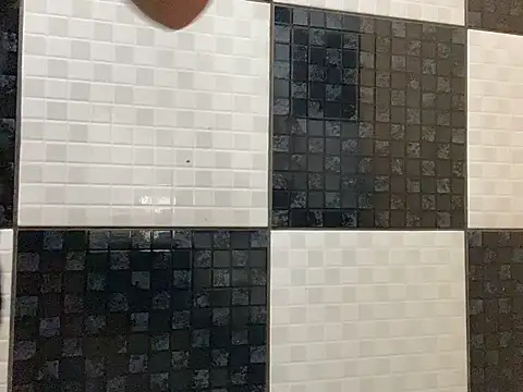 DignoDePutaria online show from April 15, 2026, 1:07 pm