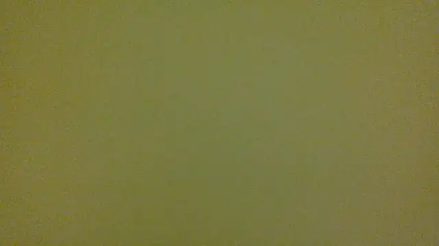 average jack online show from April 16, 2026, 11:29 pm