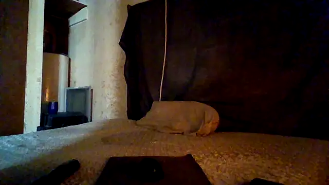 Snapshot of Nightshade1195 chatting on May 4, 2026, 7:32 pm Nightshade1195 online show from May 4, 2026, 7:32 pm