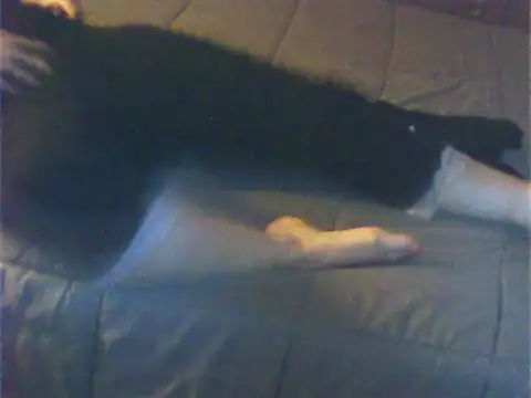 Snapshot of Cuginetti chatting on April 27, 2026, 8:07 pm Cuginetti online show from April 27, 2026, 8:07 pm