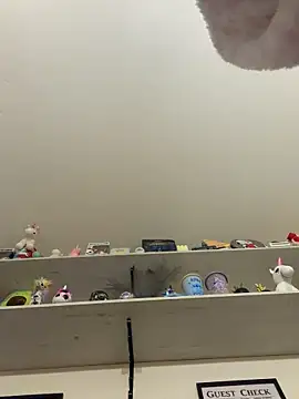 lauasg97 online show from April 22, 2026, 11:50 pm